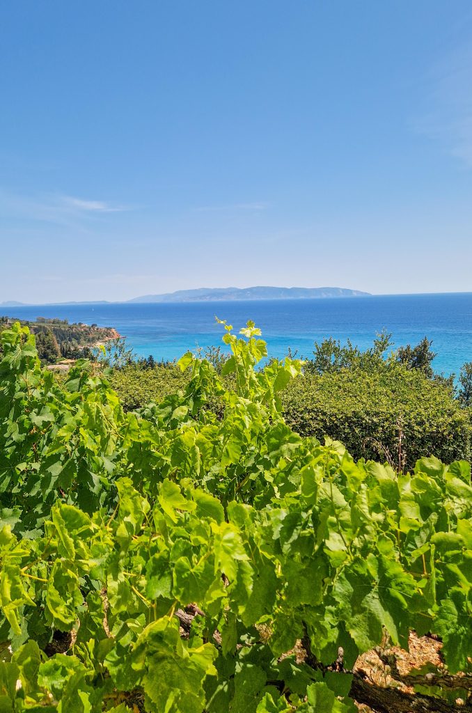 Ausblick von unserem Hotel